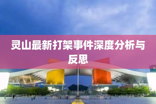 灵山最新打架事件深度分析与反思