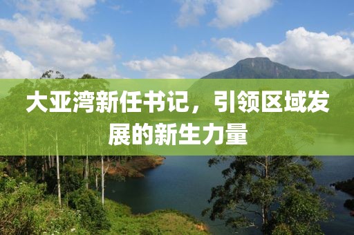 大亚湾新任书记，引领区域发展的新生力量