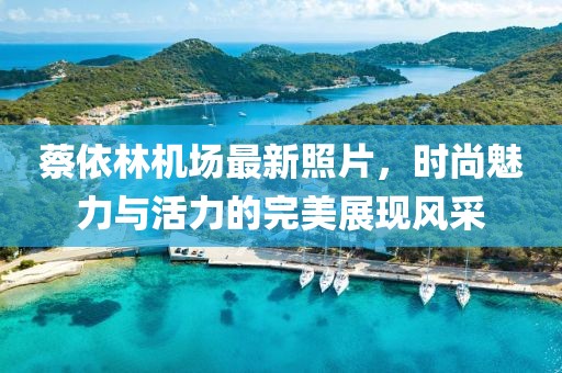 蔡依林机场最新照片，时尚魅力与活力的完美展现风采