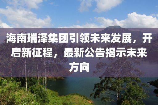 海南瑞泽集团引领未来发展，开启新征程，最新公告揭示未来方向