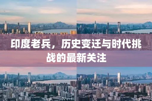 印度老兵，历史变迁与时代挑战的最新关注