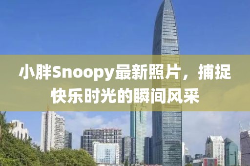 小胖Snoopy最新照片，捕捉快乐时光的瞬间风采