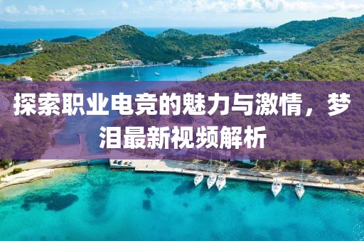 探索职业电竞的魅力与激情，梦泪最新视频解析