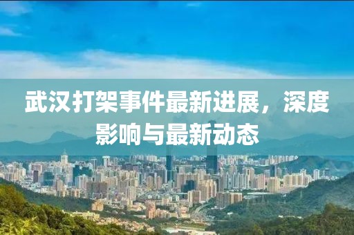 武汉打架事件最新进展，深度影响与最新动态