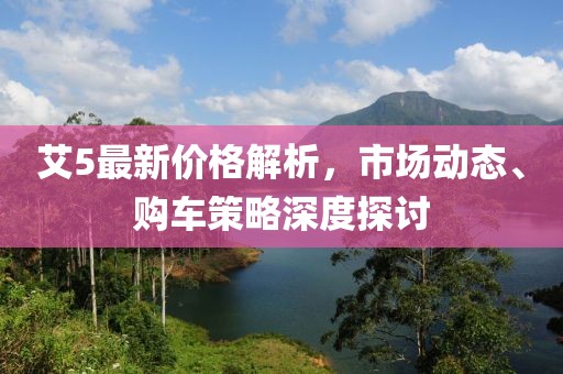 艾5最新价格解析，市场动态、购车策略深度探讨