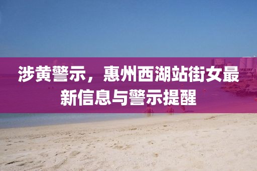涉黄警示，惠州西湖站街女最新信息与警示提醒