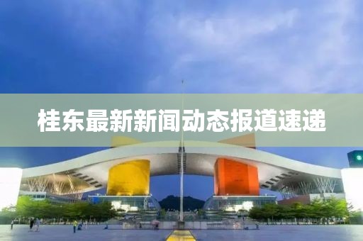 桂东最新新闻动态报道速递