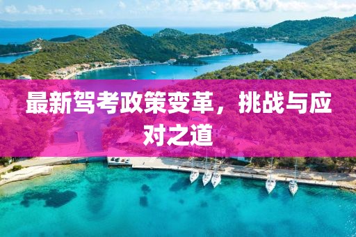 最新驾考政策变革，挑战与应对之道