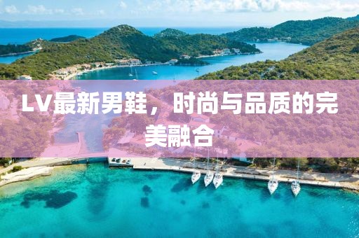 LV最新男鞋，时尚与品质的完美融合