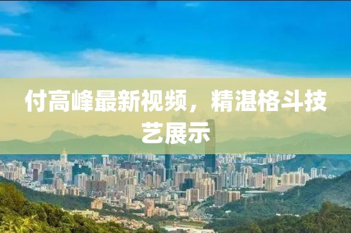 付高峰最新视频，精湛格斗技艺展示