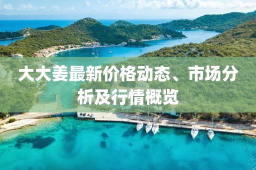 大大姜最新价格动态、市场分析及行情概览