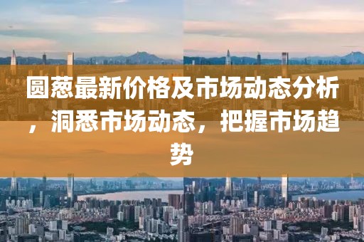 圆葱最新价格及市场动态分析，洞悉市场动态，把握市场趋势
