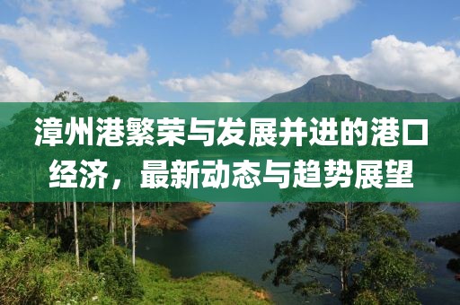 漳州港繁荣与发展并进的港口经济，最新动态与趋势展望