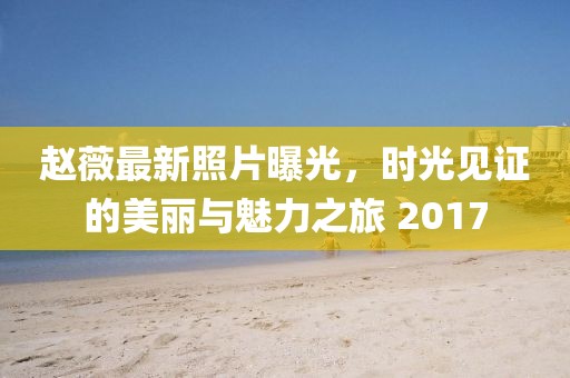 赵薇最新照片曝光，时光见证的美丽与魅力之旅 2017