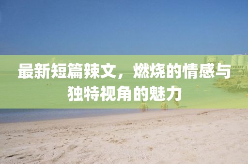 最新短篇辣文，燃烧的情感与独特视角的魅力