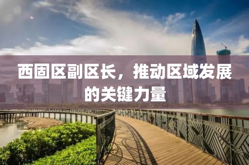 西固区副区长，推动区域发展的关键力量