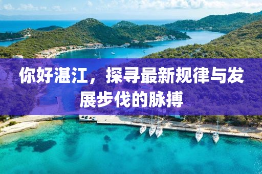 你好湛江，探寻最新规律与发展步伐的脉搏