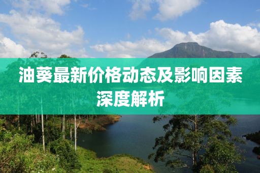 油葵最新价格动态及影响因素深度解析