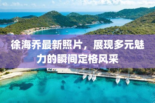 徐海乔最新照片，展现多元魅力的瞬间定格风采