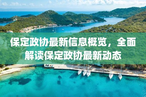 保定政协最新信息概览，全面解读保定政协最新动态