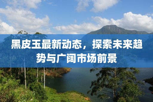 黑皮玉最新动态，探索未来趋势与广阔市场前景