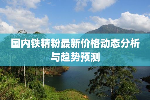 国内铁精粉最新价格动态分析与趋势预测