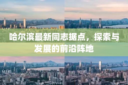 哈尔滨最新同志据点，探索与发展的前沿阵地