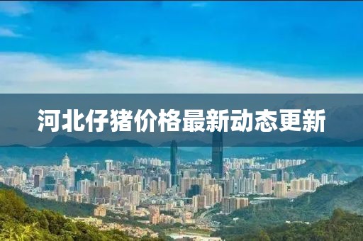 河北仔猪价格最新动态更新