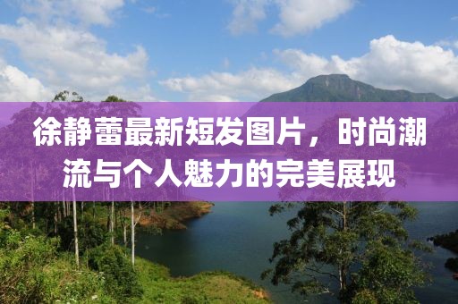 徐静蕾最新短发图片，时尚潮流与个人魅力的完美展现