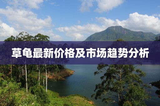 草龟最新价格及市场趋势分析