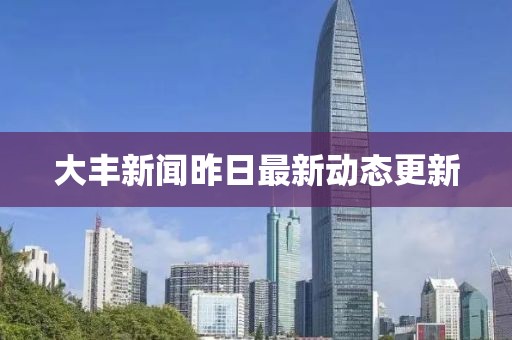 大丰新闻昨日最新动态更新