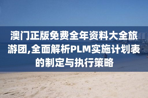 澳门正版免费全年资料大全旅游团,全面解析PLM实施计划表的制定与执行策略