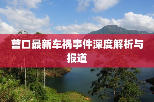 营口最新车祸事件深度解析与报道