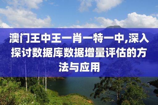 澳门王中王一肖一特一中,深入探讨数据库数据增量评估的方法与应用