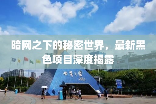 暗网之下的秘密世界，最新黑色项目深度揭露