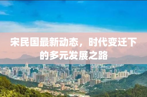宋民国最新动态，时代变迁下的多元发展之路