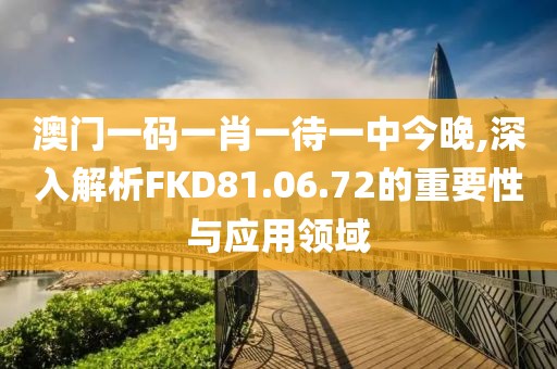 澳门一码一肖一待一中今晚,深入解析FKD81.06.72的重要性与应用领域