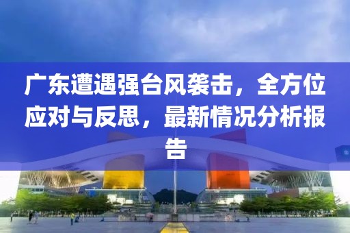 广东遭遇强台风袭击，全方位应对与反思，最新情况分析报告