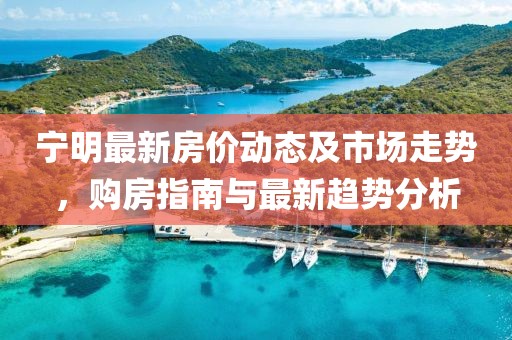 宁明最新房价动态及市场走势，购房指南与最新趋势分析