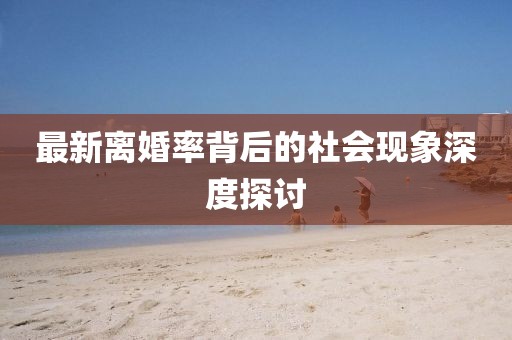 最新离婚率背后的社会现象深度探讨