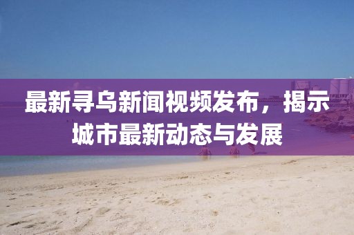 最新寻乌新闻视频发布，揭示城市最新动态与发展