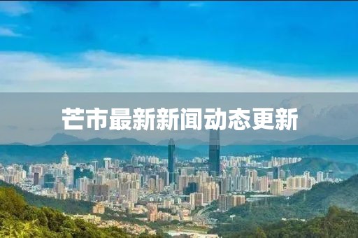 芒市最新新闻动态更新