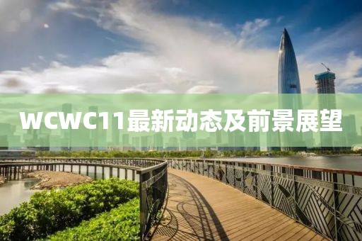 WCWC11最新动态及前景展望