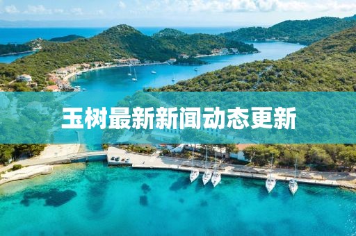 玉树最新新闻动态更新