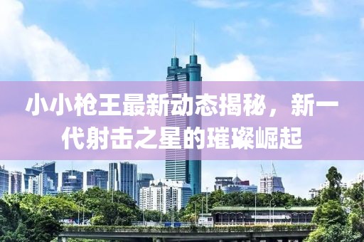 小小枪王最新动态揭秘，新一代射击之星的璀璨崛起
