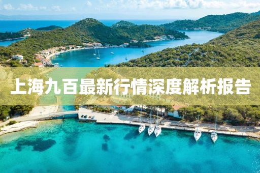 上海九百最新行情深度解析报告