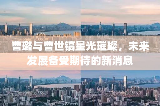 曹璐与曹世镐星光璀璨，未来发展备受期待的新消息