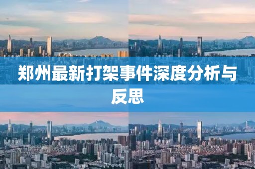 郑州最新打架事件深度分析与反思