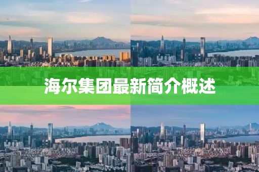 海尔集团最新简介概述