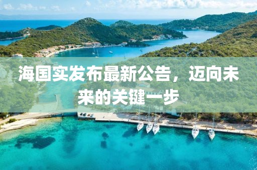 海国实发布最新公告，迈向未来的关键一步